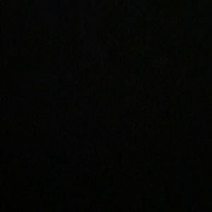 Meet your Posher, Sho-ron